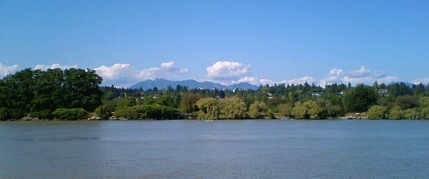 Fraser River Shore, July 19, 2005