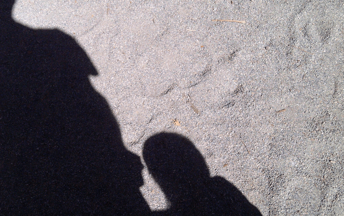 About Those Challenges Posed by&nbsp;ChatGPT